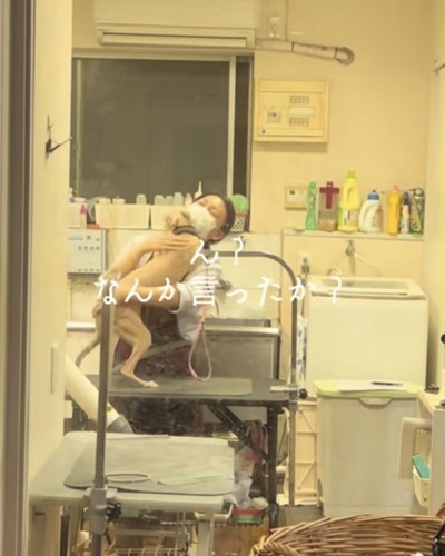 お姉さんにハグする犬「ん？なんか言ったか？」