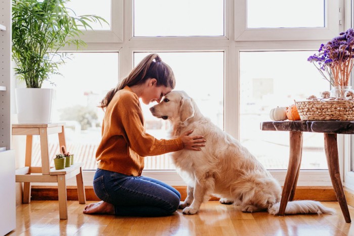 飼い主さんとおでこをつける犬