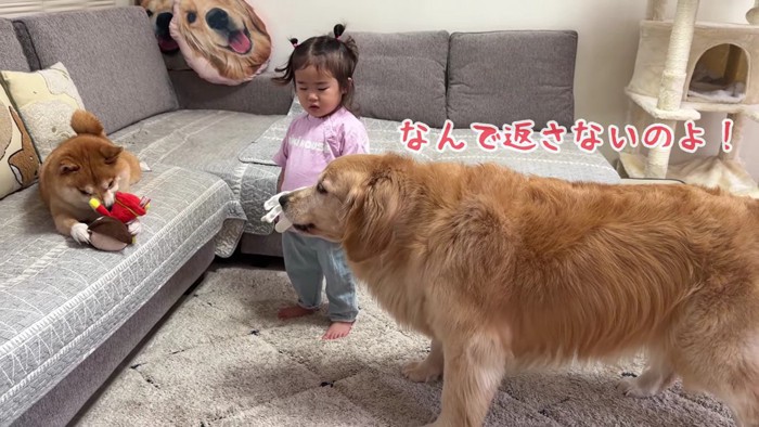 「なんで返さないの！」
