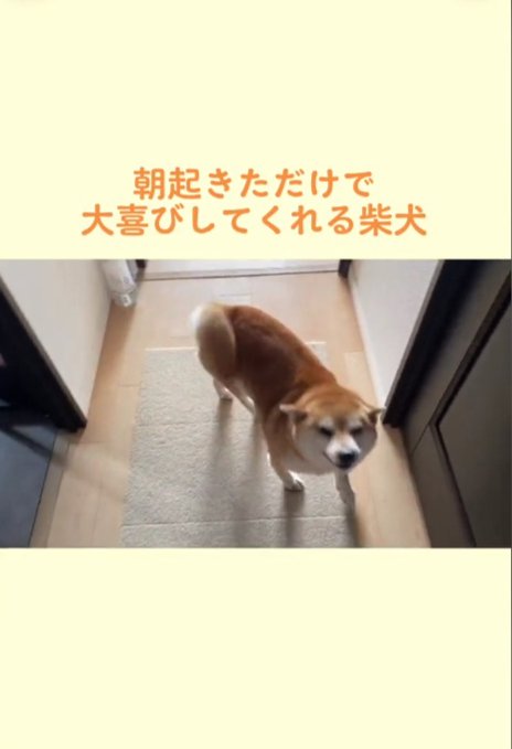 今日は何しよう？