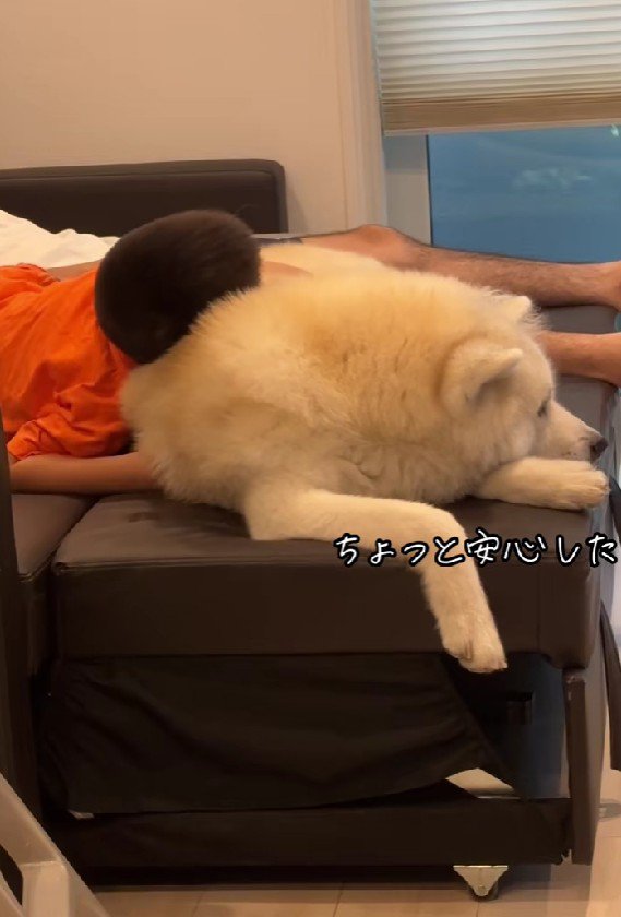 安心してきたみたい