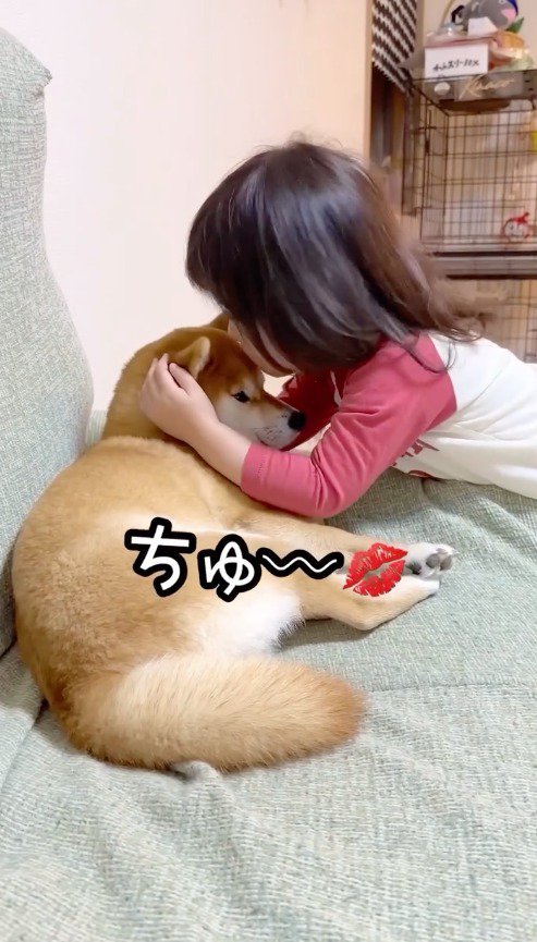 犬の頭にキスをする女の子