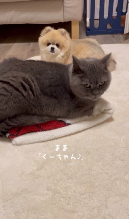 くーちゃんを呼ぶと…