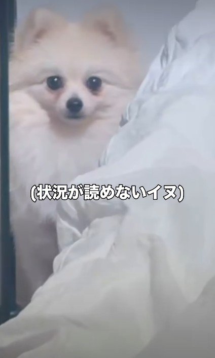 状況が理解できない…！？