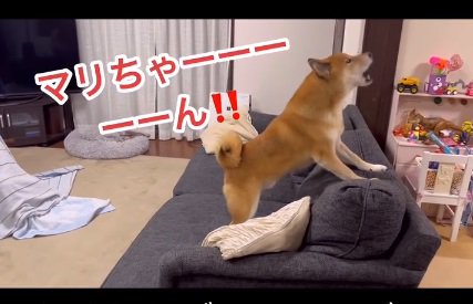 遠吠えするロックくん