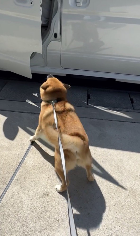 ドアが開いた