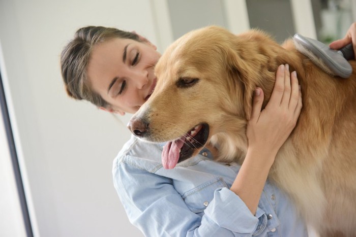 ブラッシングして犬の体をチェックする女性