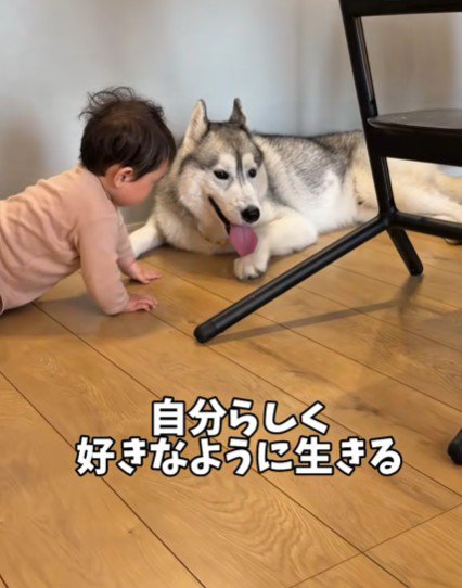 愛溢れる光景にホッコリ