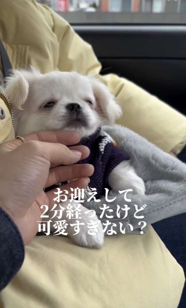 愛らしすぎます