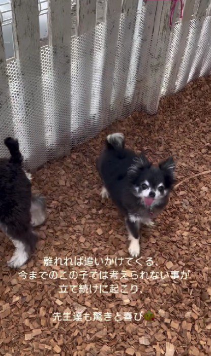 素敵な笑顔に涙が止まらない