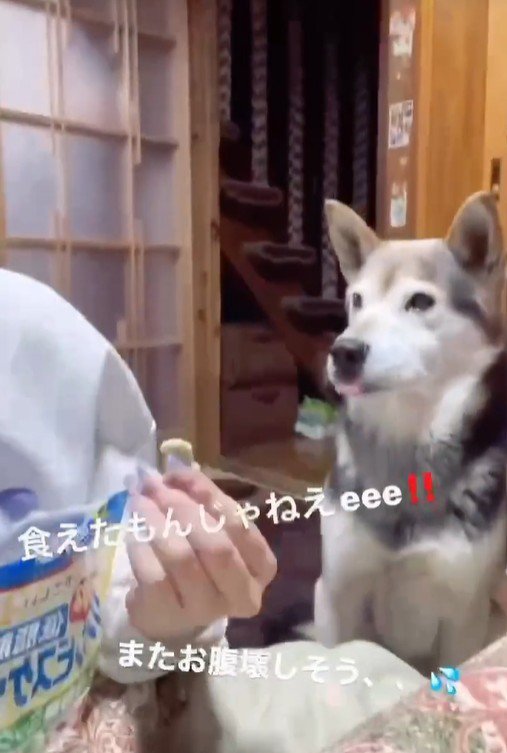 ブーッと吹き出すフリ