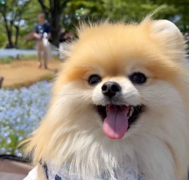 素敵な
