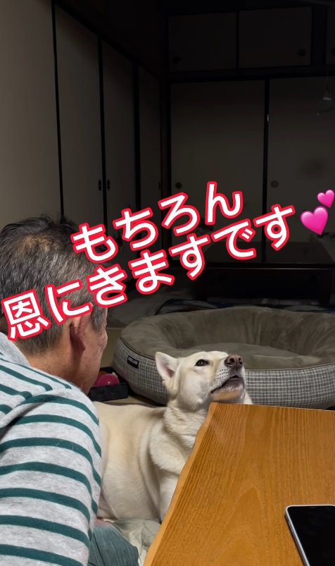 可愛すぎる約束にホッコリ…♡