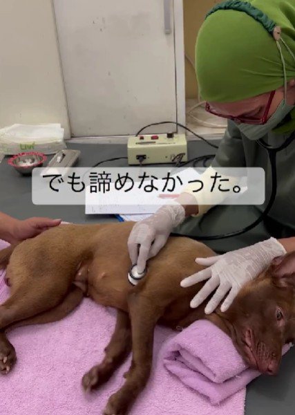 継続的な治療を開始