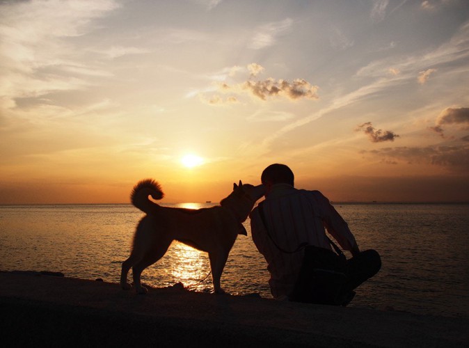 夕焼けと飼い主と海