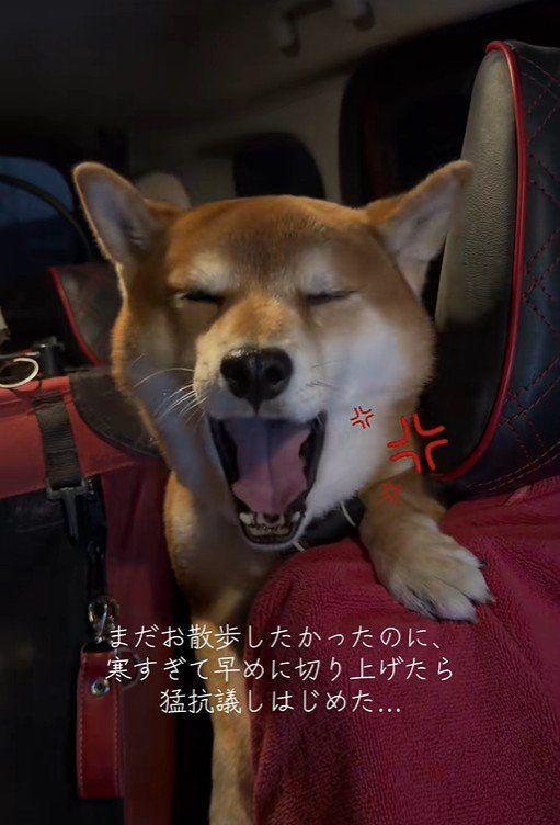 はなまる君の猛抗議6