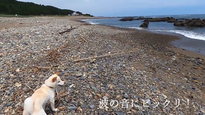 海に近付いたら、波の音にびっくり