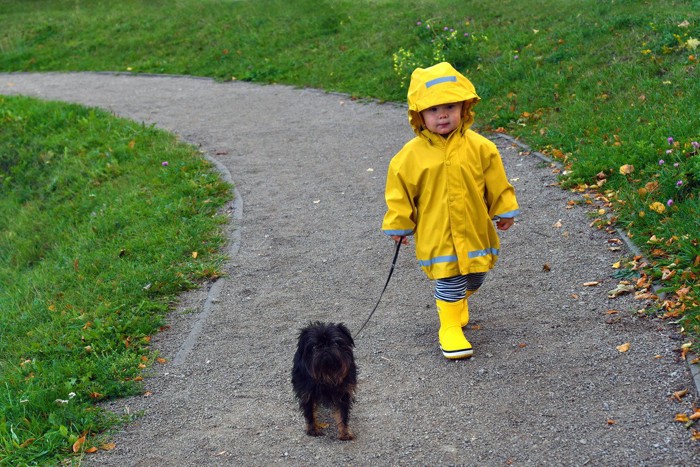 レインコートを着ている子供と犬