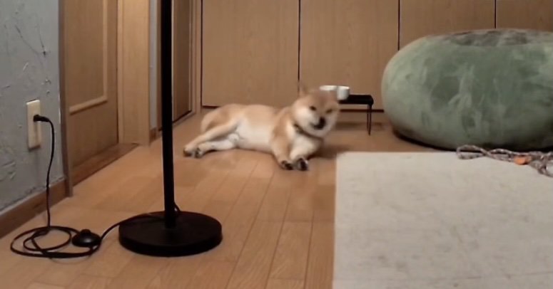 「なになに？」