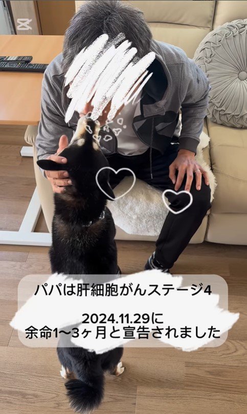 あずきちゃんとお父さんの再会6
