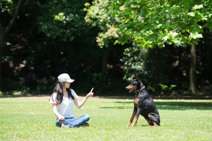 公園でお座りする犬と飼い主