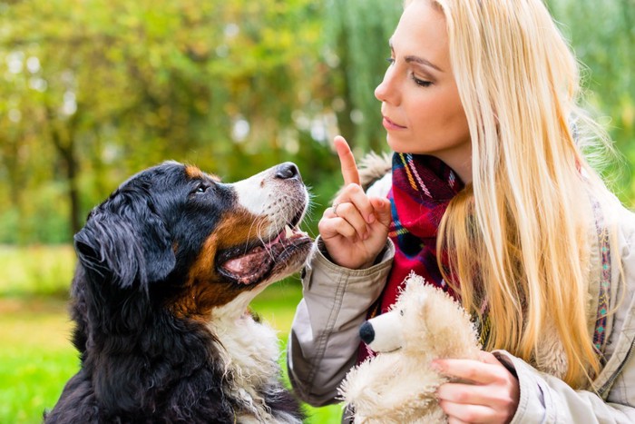 しつけ中の女性と犬