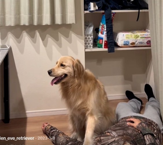 茶番に付き合うイヴちゃん