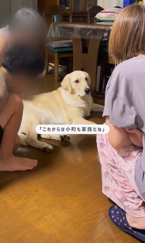 小町ちゃんと実家に帰省5