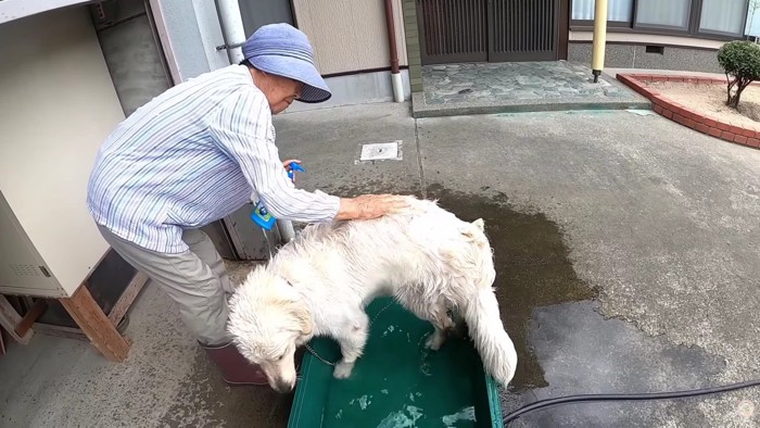 ガッシガッシと泡立てて…