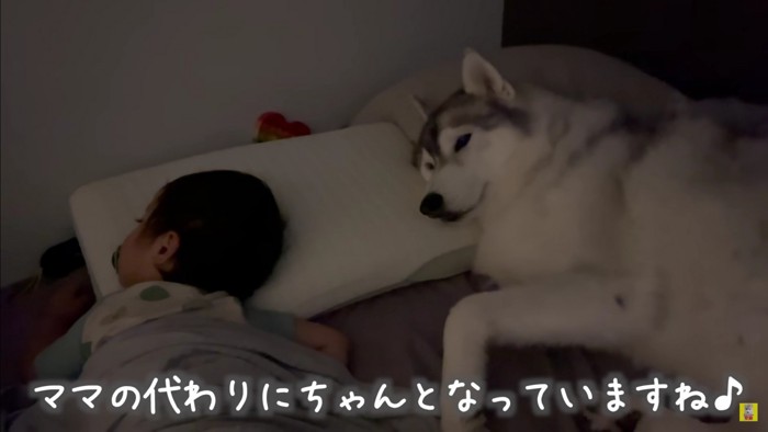 「寂しくないよ」
