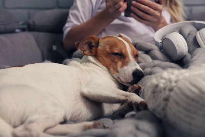 女性に寄りかかりながら眠る犬