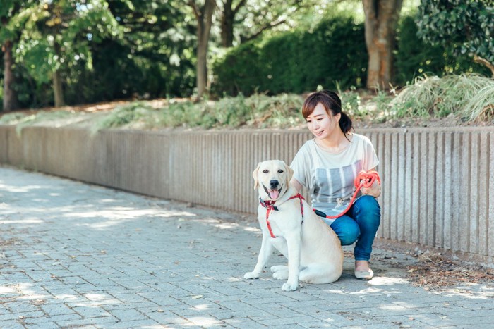 座る犬の横にしゃがむ人