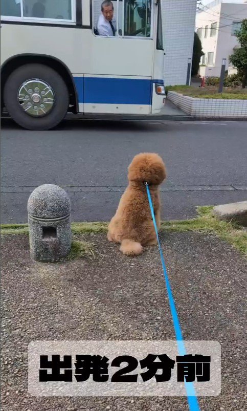 ぷぅ太郎くんと運転手さん2