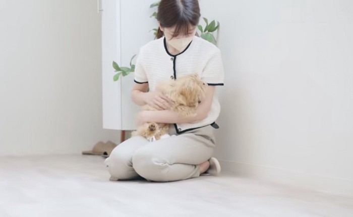 女性に抱っこされる犬