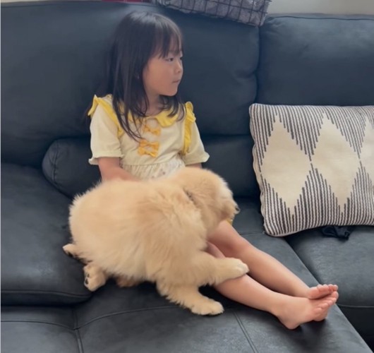 子供の足に戯れる犬