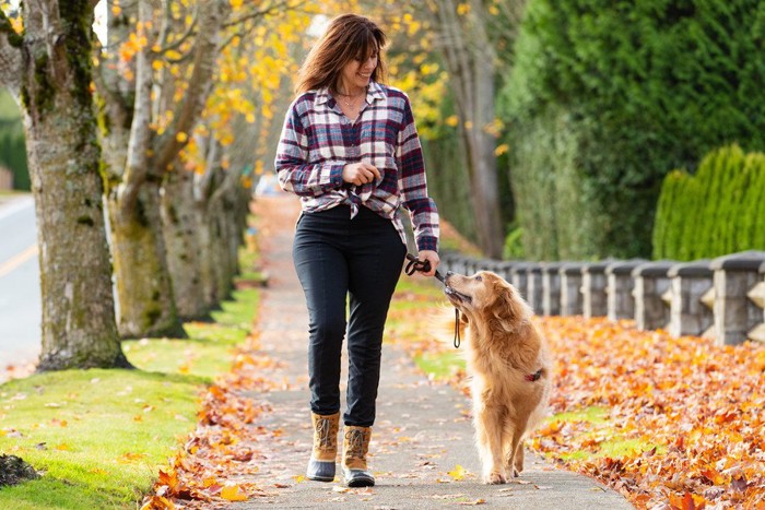 アイコンタクトを取る女性と犬