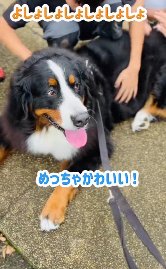 素敵な時間を過ごせたね