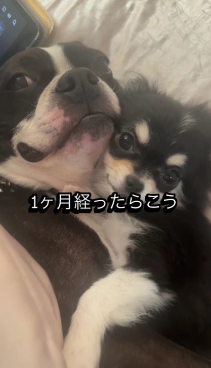 たまちゃんも心を開いた♡