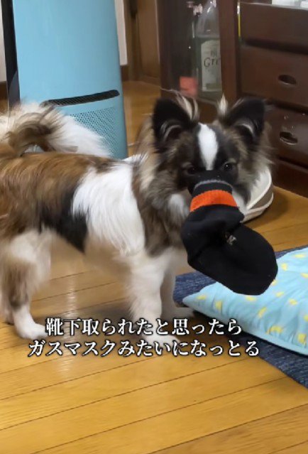 「返して」と言っても…