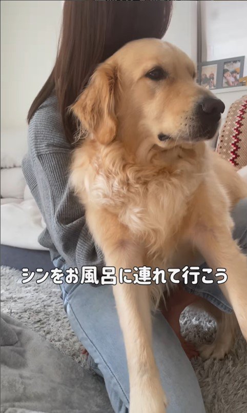 お風呂に入れたい飼い主さんVSシンくん