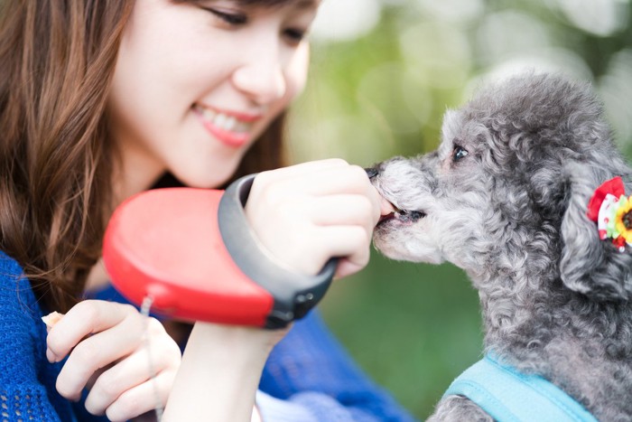 おやつを与える女性と犬