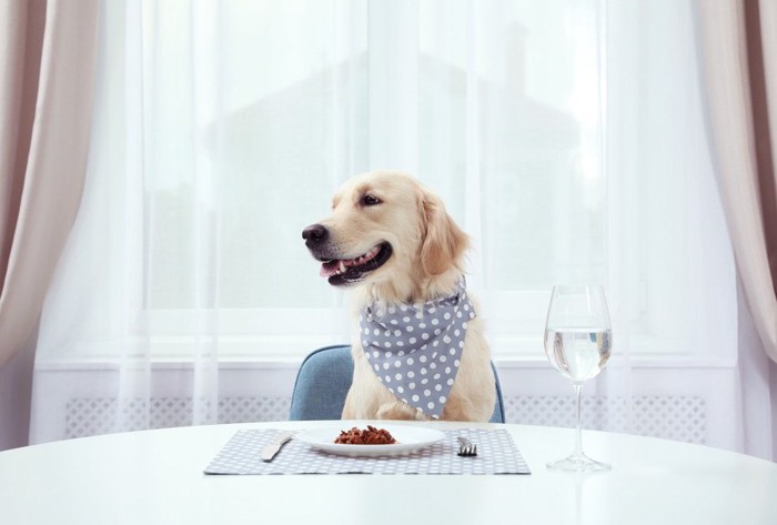 食事をしている犬