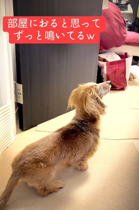 「どこにいるの？」