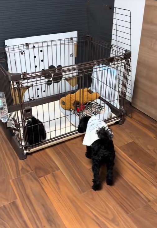 仲良くなれますように♡