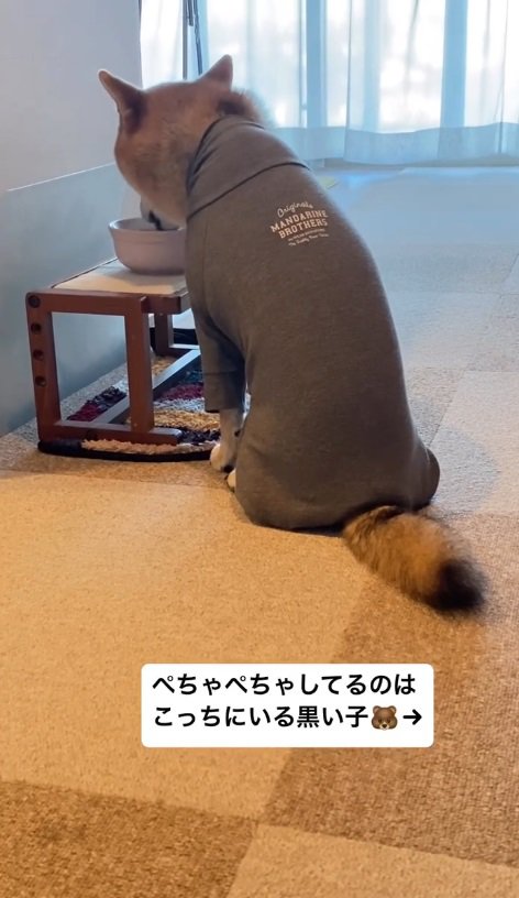 見事なほどの猫背！