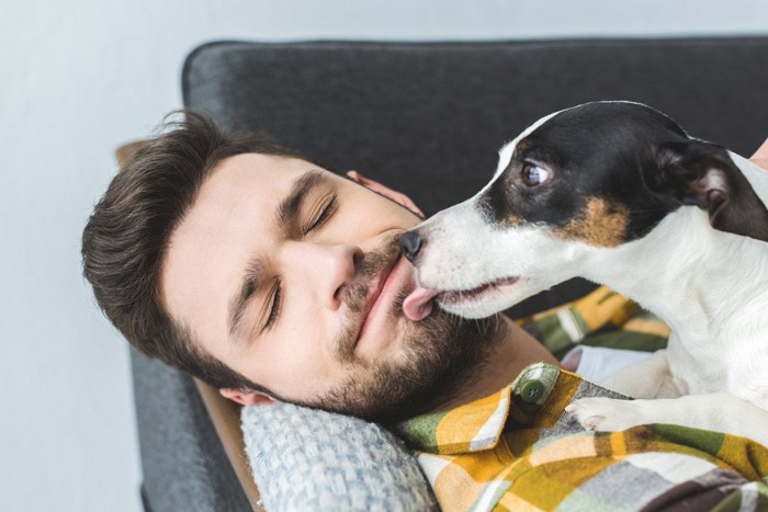 人の口元を舐める犬