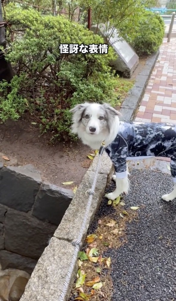 水がないよ…