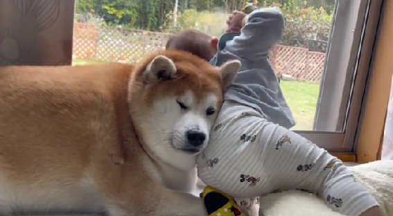 我慢し続けたら…