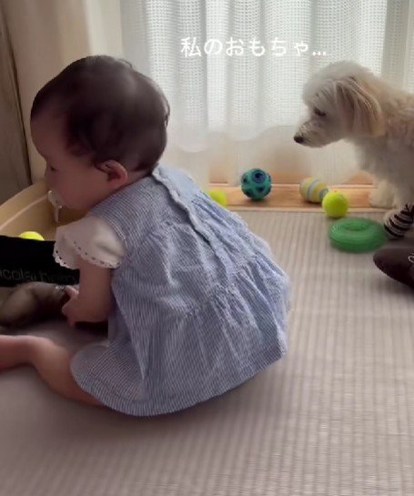 赤ちゃんとむぎちゃん