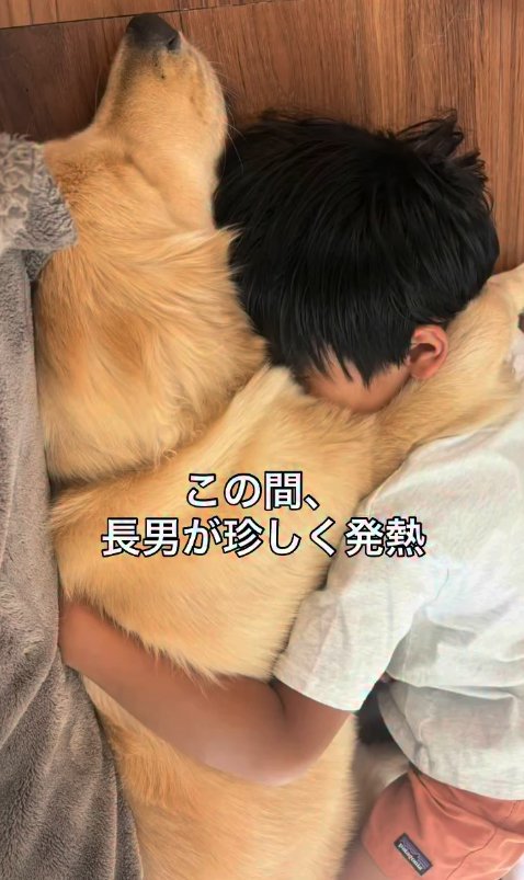 長男に寄り添う大型犬